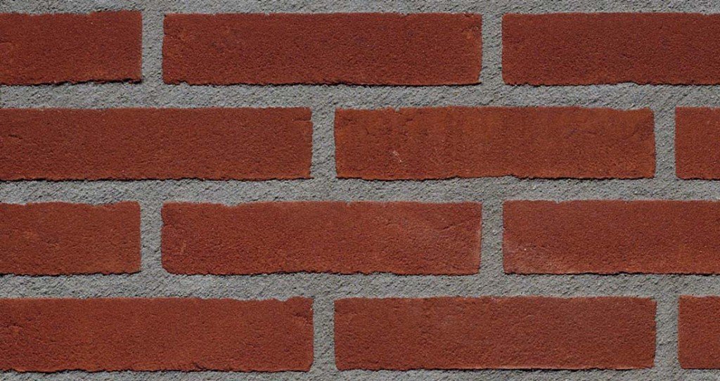 WDF.Koraalrood