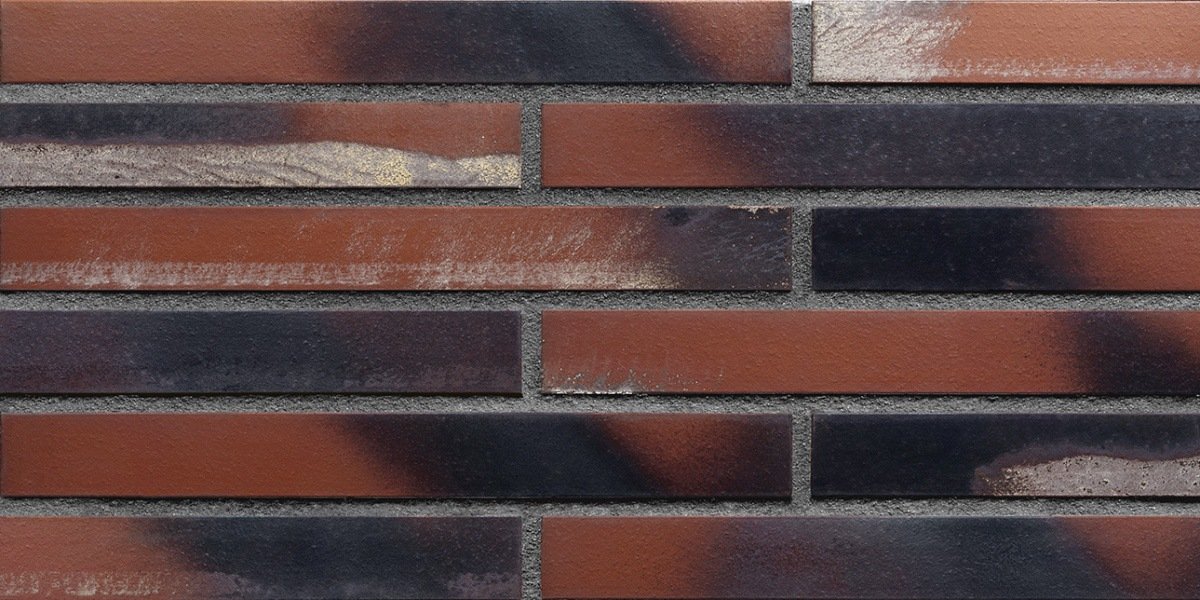 LFP.Coral star (LF08)