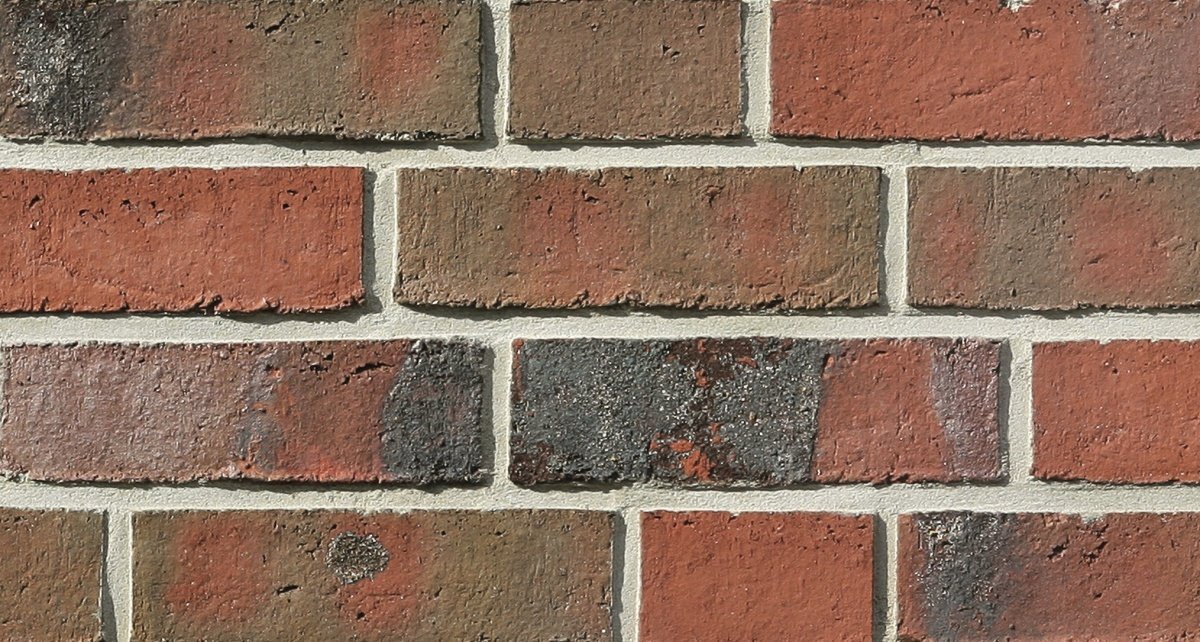 NFR.Wiesmoor rotblau bunt