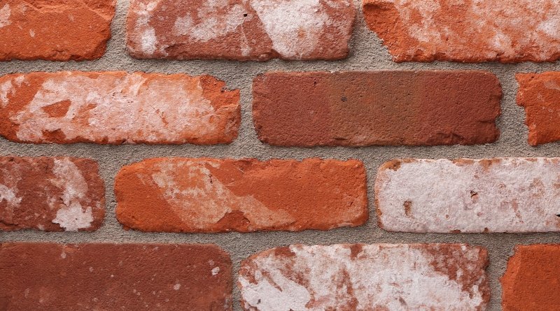 WDF.Retro.VB.Wisconsin