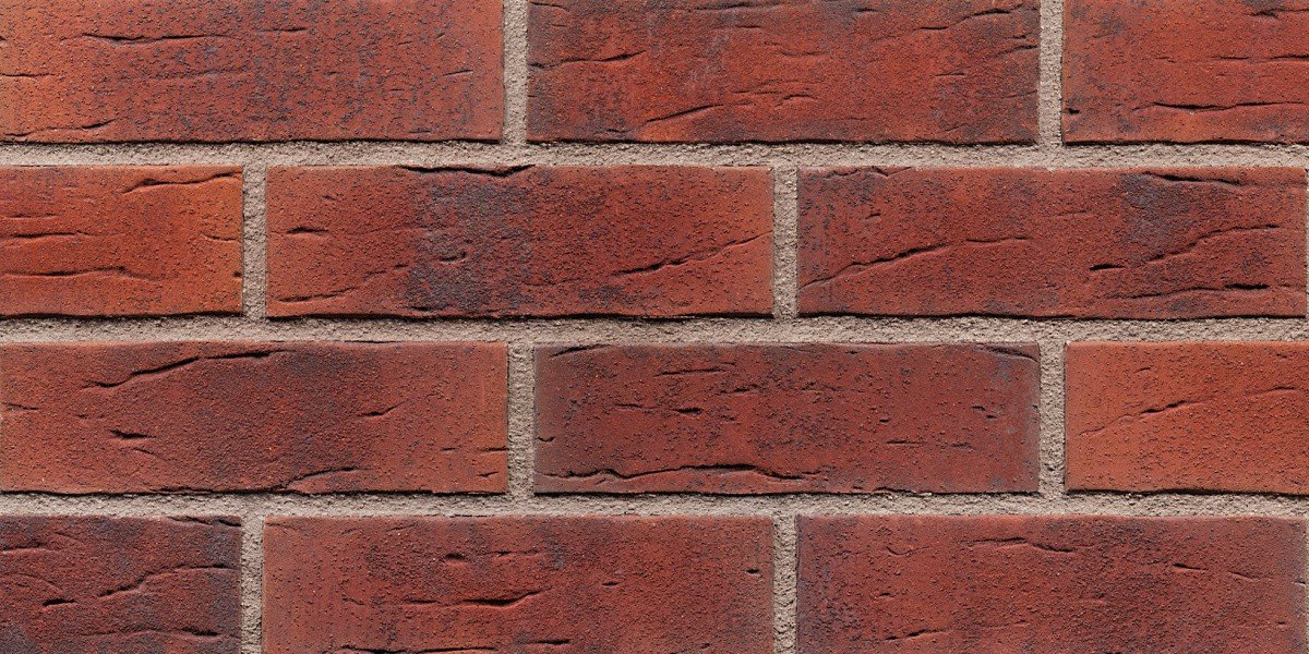 NFR.Aria rustica (HF21)