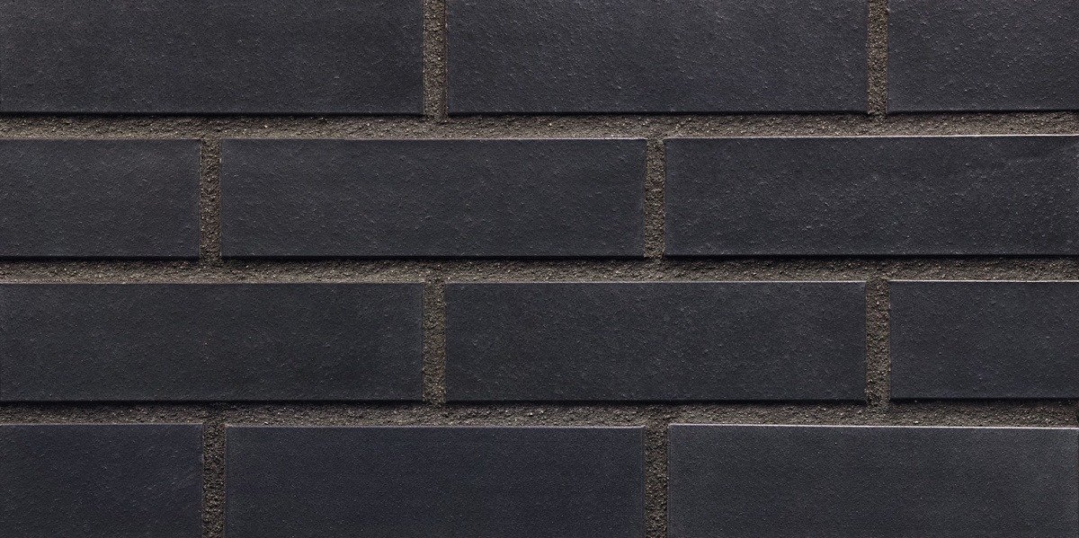 RFR.černomodrý (08)